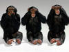 Three Monkeys