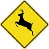 Deer Crossing Sign